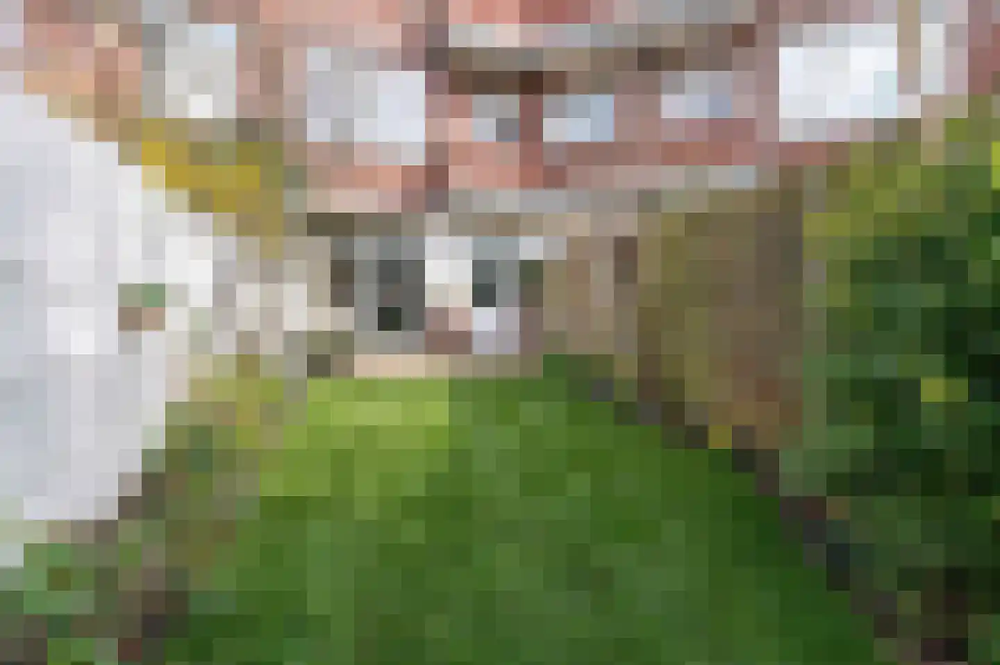 Altingstraat 144 Den Haag thumbnail 13