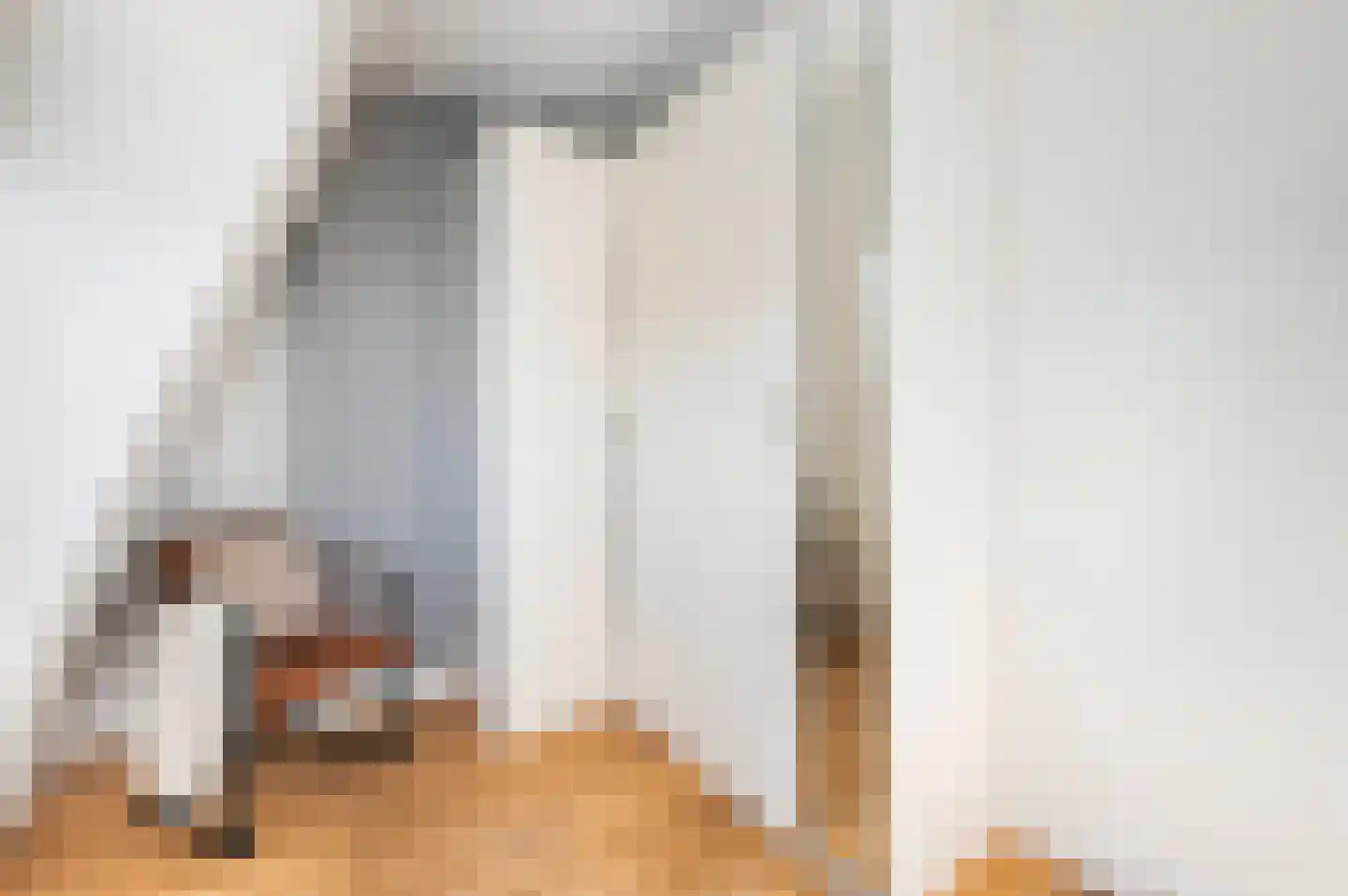 Altingstraat 36 Den Haag thumbnail 33
