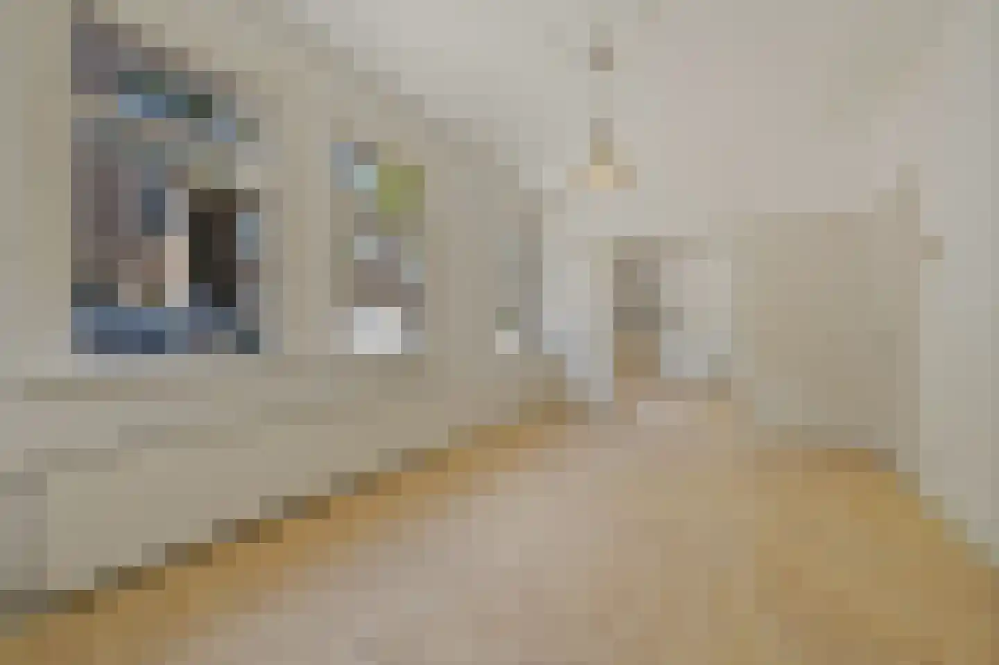 Altingstraat 6 Den Haag thumbnail 10