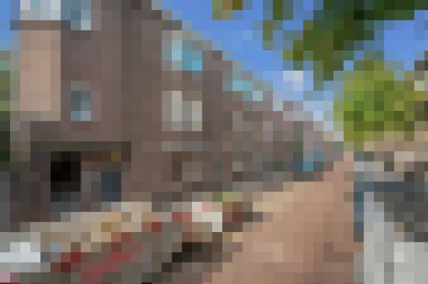 Altingstraat 6 Den Haag thumbnail 8