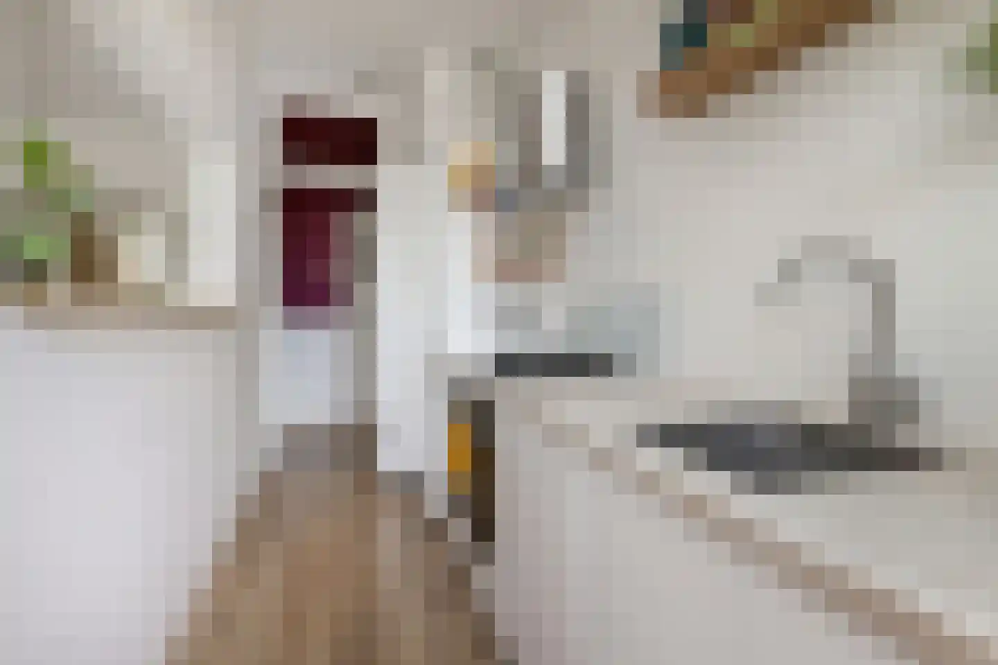 Altingstraat 90 Den Haag thumbnail 18