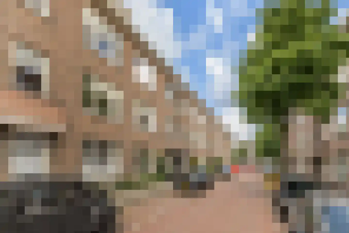 Altingstraat 90 Den Haag thumbnail 27