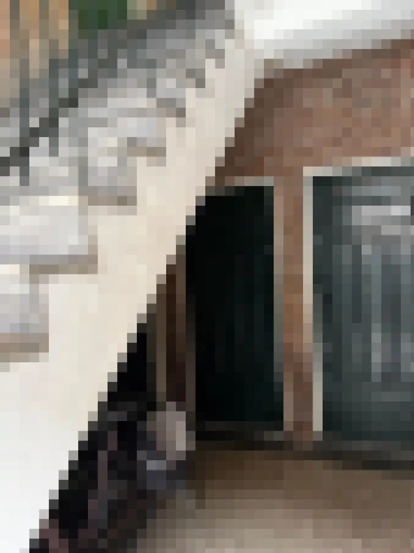 Altingstraat 90 Den Haag thumbnail 29