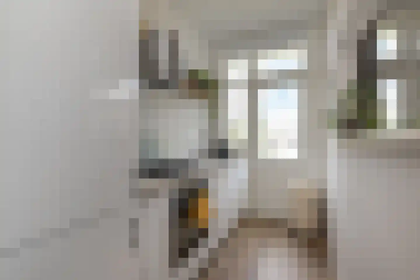 Altingstraat 90 Den Haag thumbnail 5