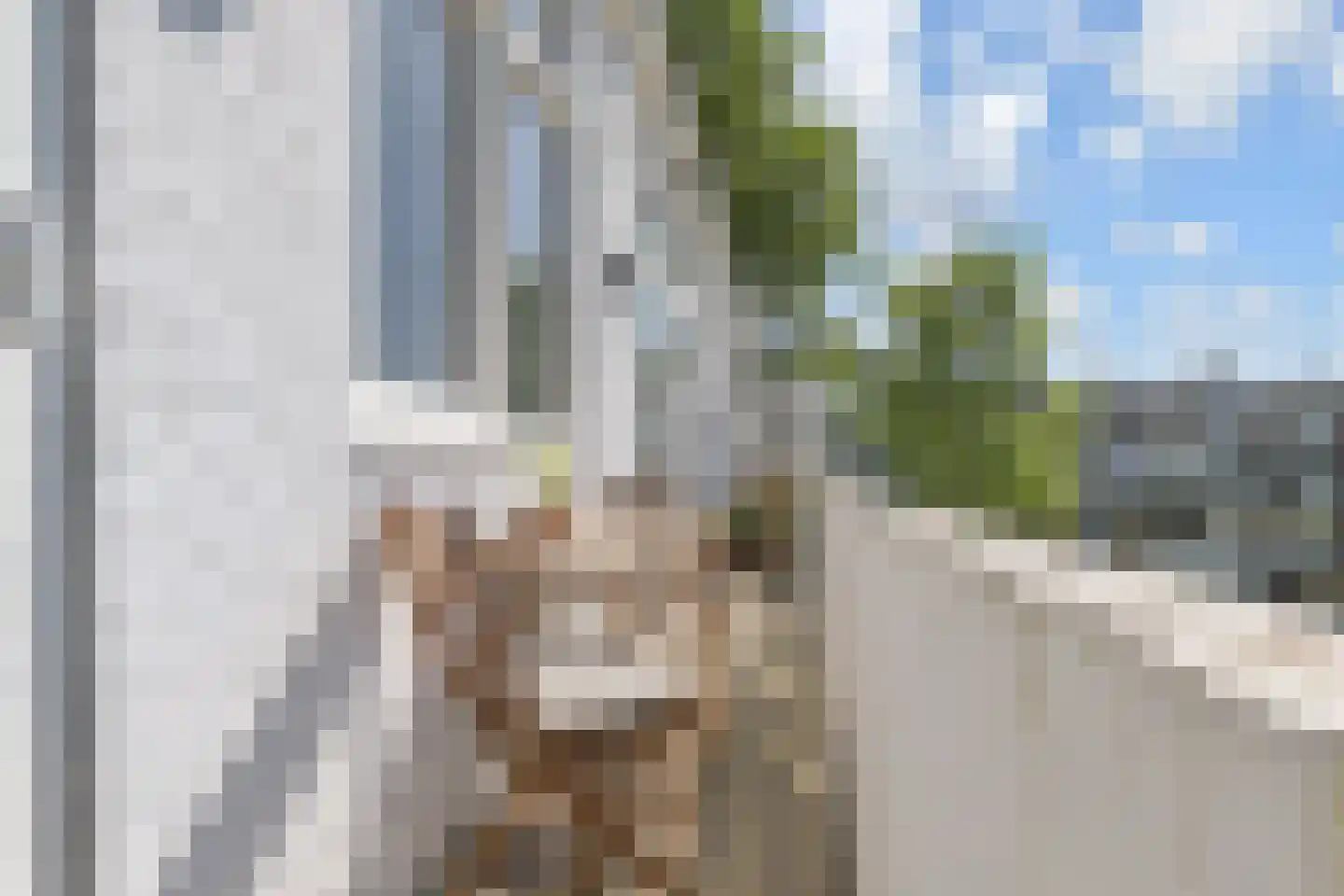 Altingstraat 92 Den Haag thumbnail 18