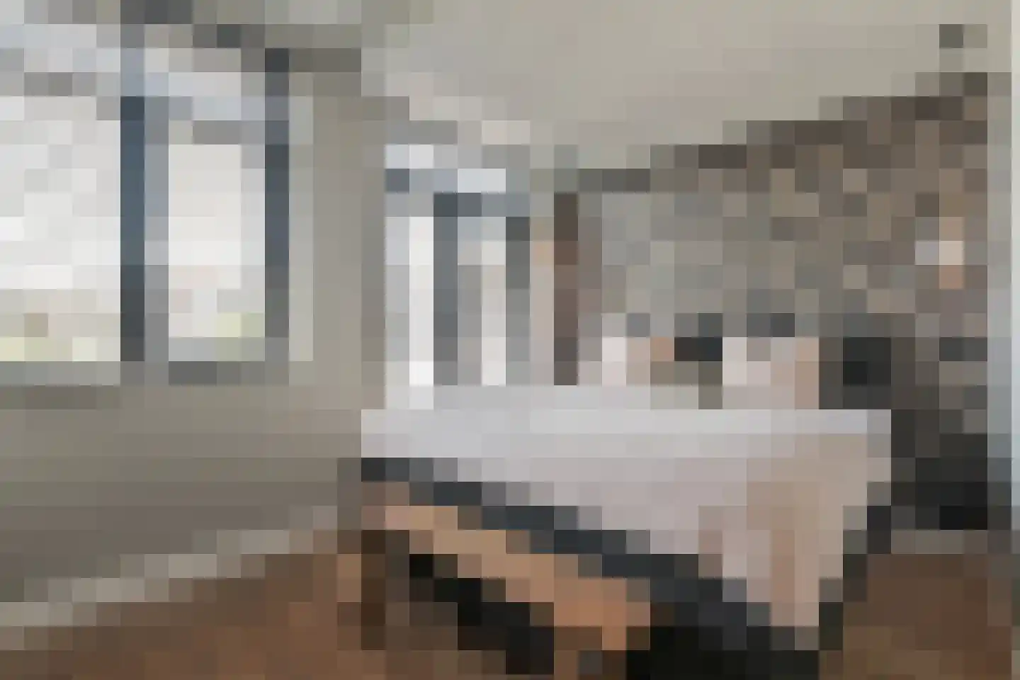 Altingstraat 92 Den Haag thumbnail 4