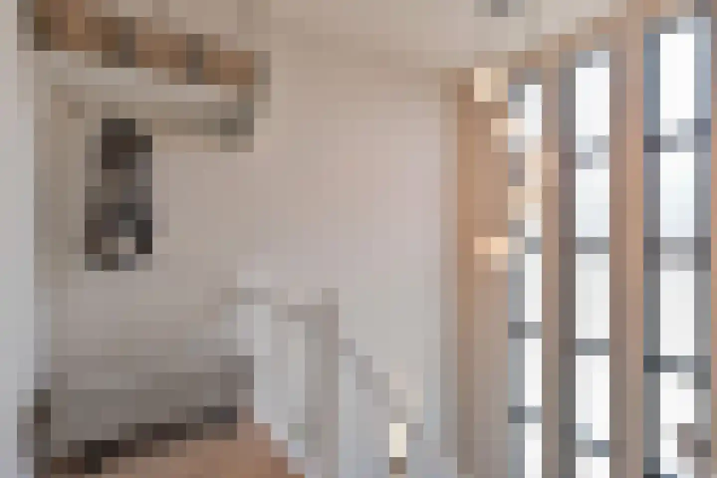 Altingstraat 92 Den Haag thumbnail 7