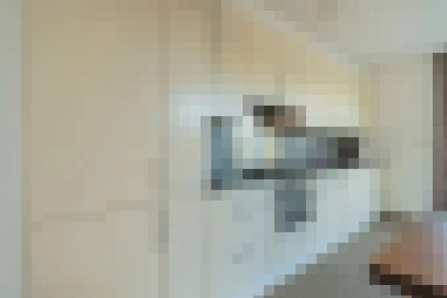Altius 2 Hoofddorp thumbnail 25
