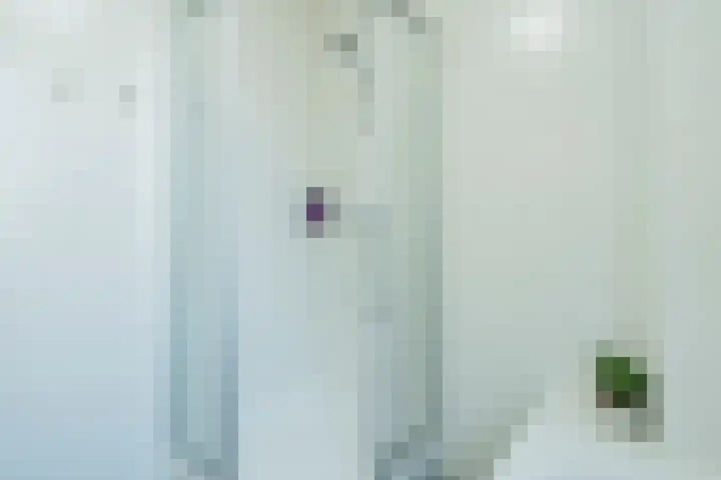 Altius 2 Hoofddorp thumbnail 41
