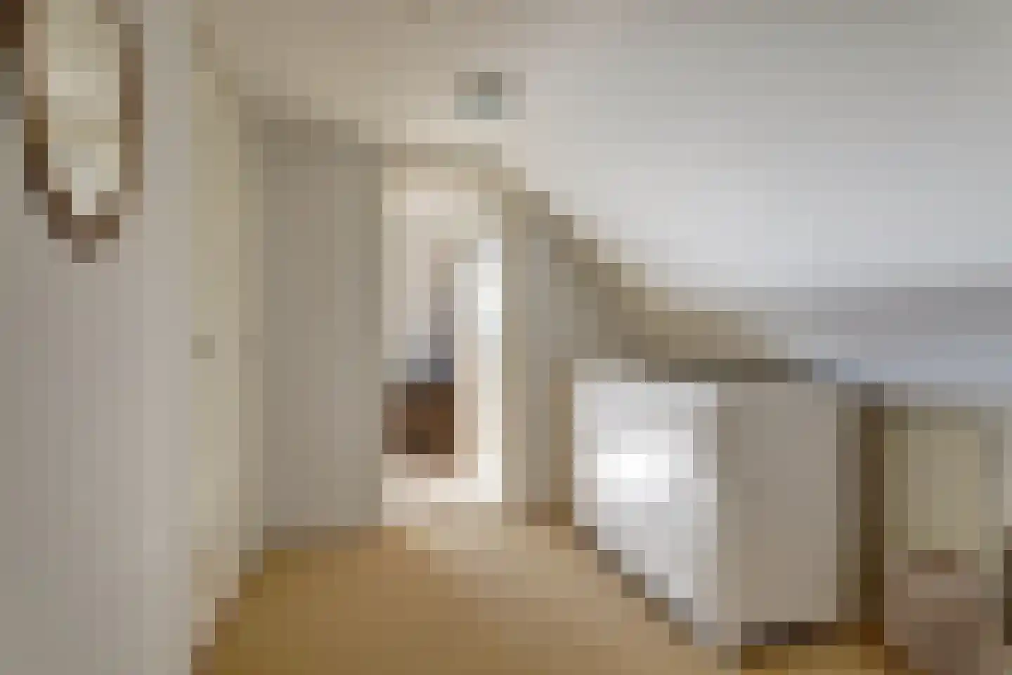 Altoenaestraat 19 St.-Annaparochie thumbnail 22