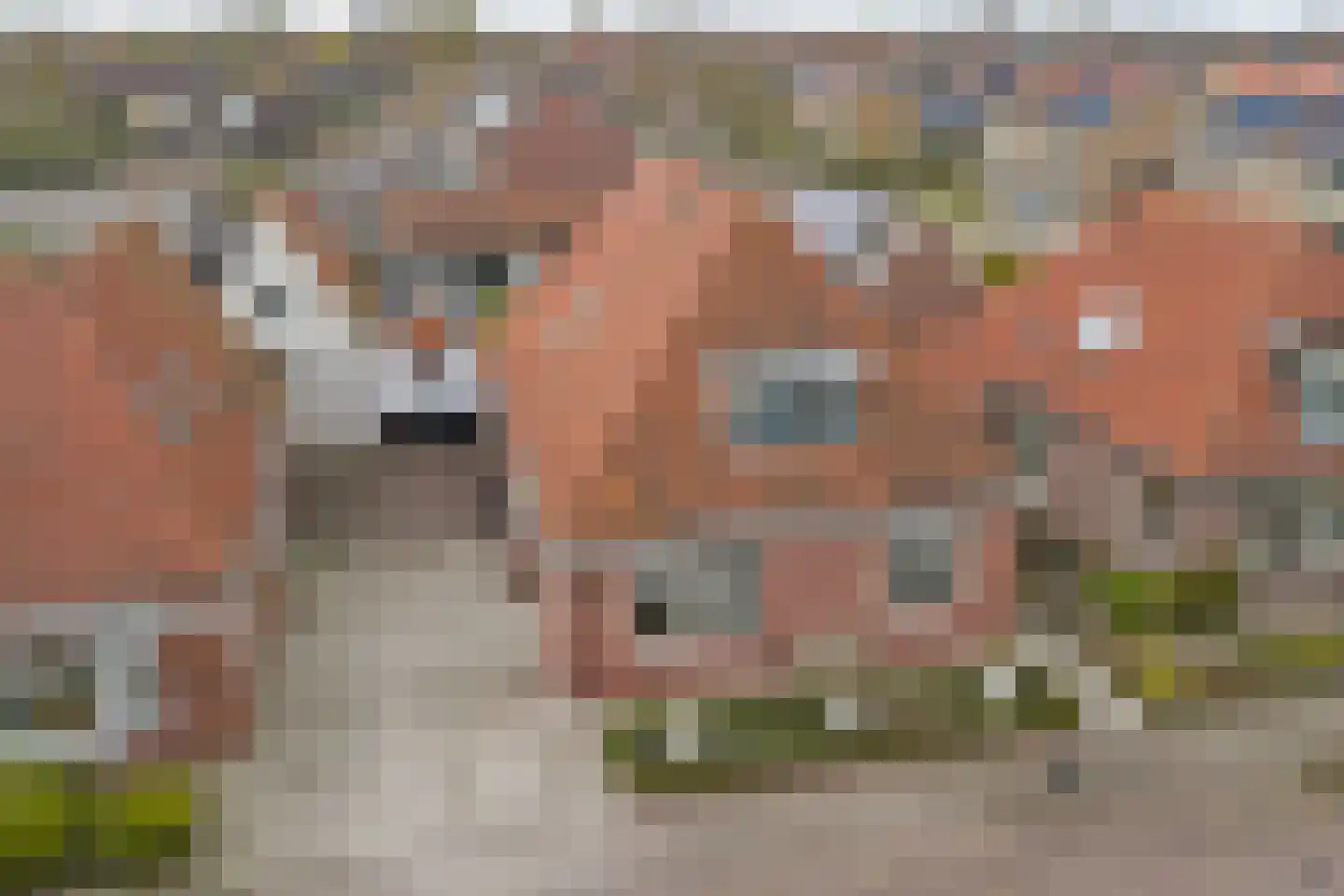Altoenaestraat 19 St.-Annaparochie thumbnail 44