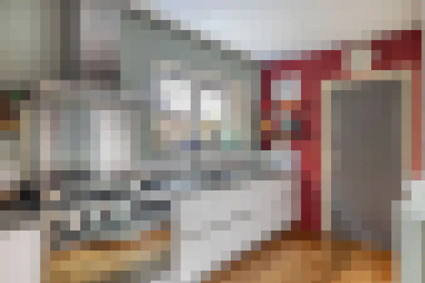 Altoenaestraat 6 St.-Annaparochie thumbnail 20