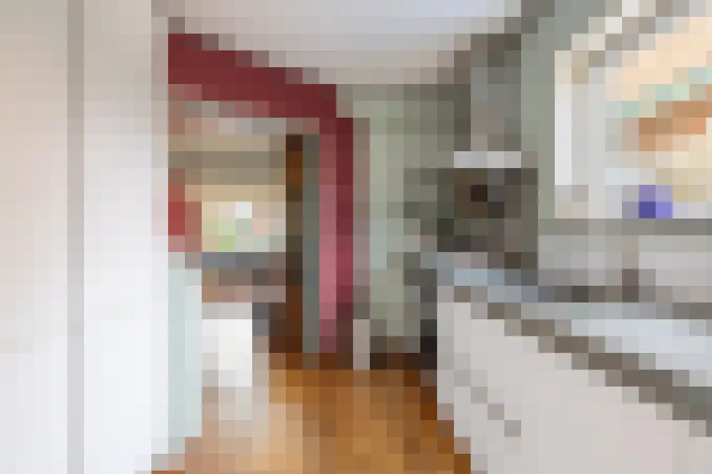 Altoenaestraat 6 St.-Annaparochie thumbnail 22