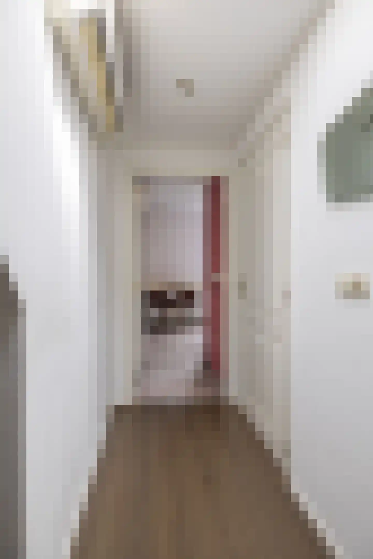 Altoenaestraat 6 St.-Annaparochie thumbnail 30