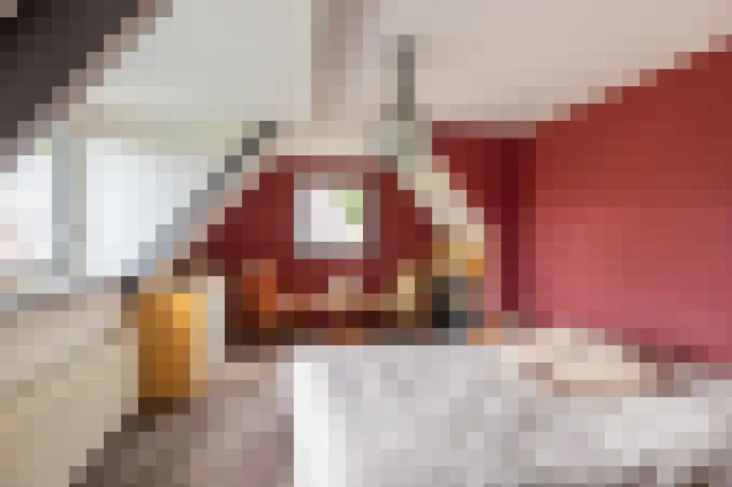 Altoenaestraat 6 St.-Annaparochie thumbnail 37