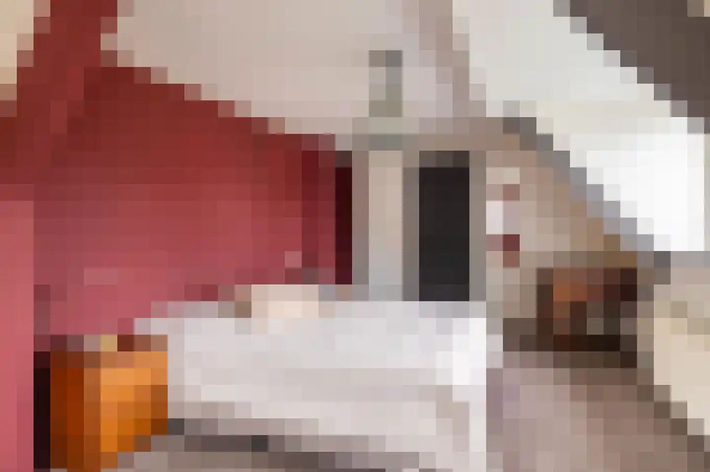 Altoenaestraat 6 St.-Annaparochie thumbnail 38