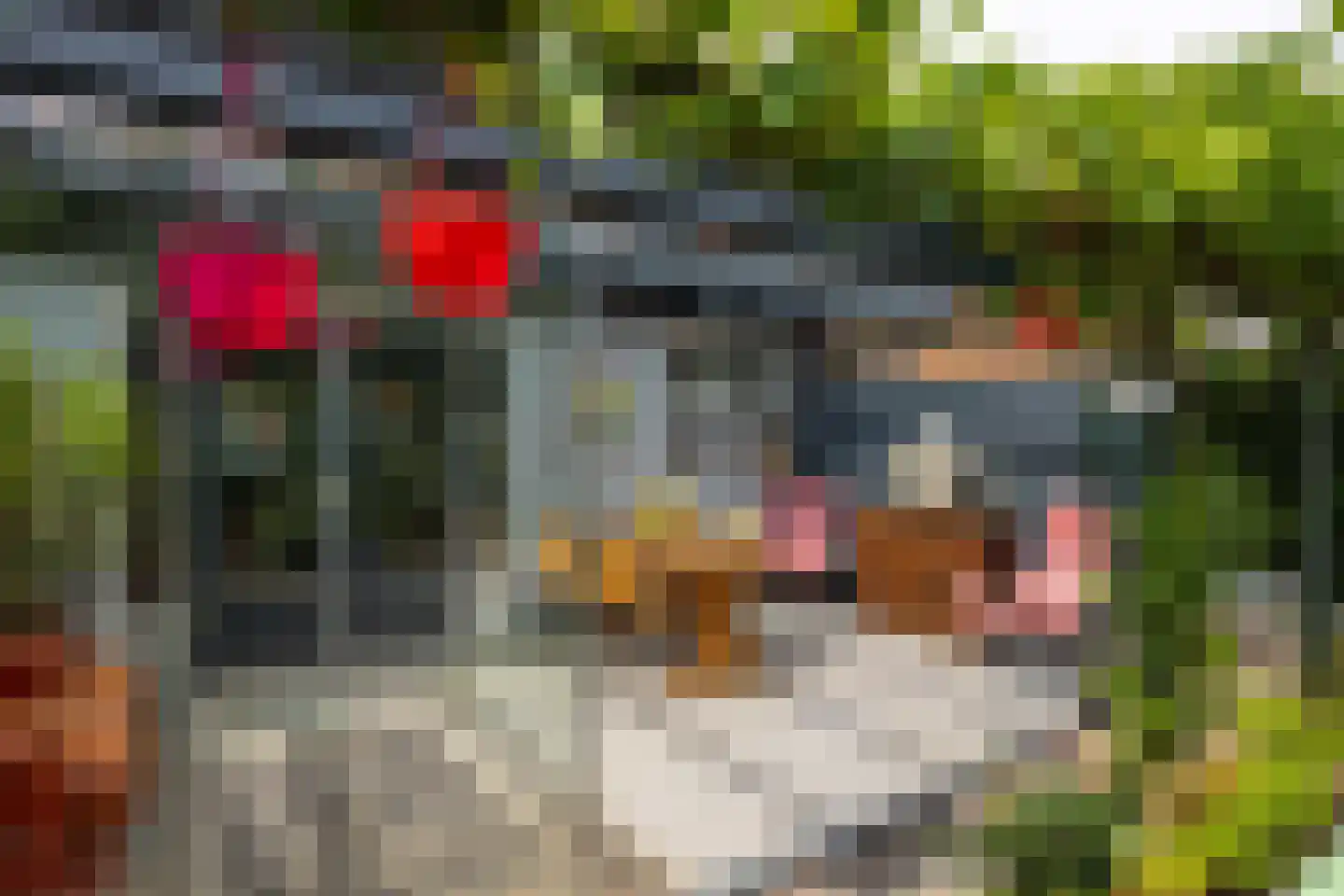 Altoenaestraat 6 St.-Annaparochie thumbnail 4