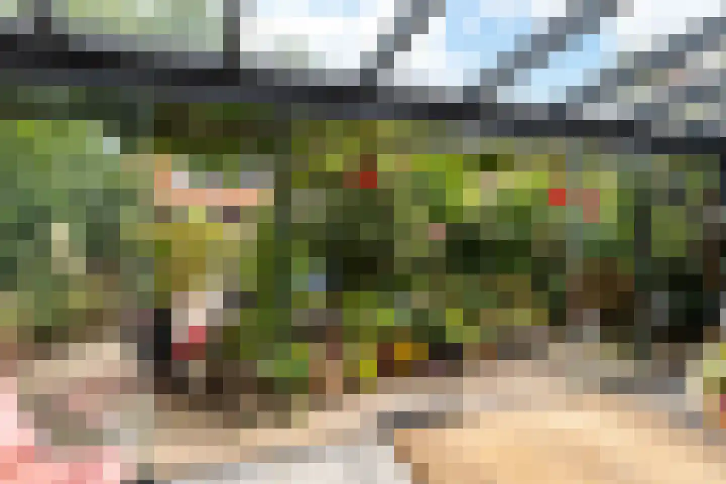 Altoenaestraat 6 St.-Annaparochie thumbnail 44