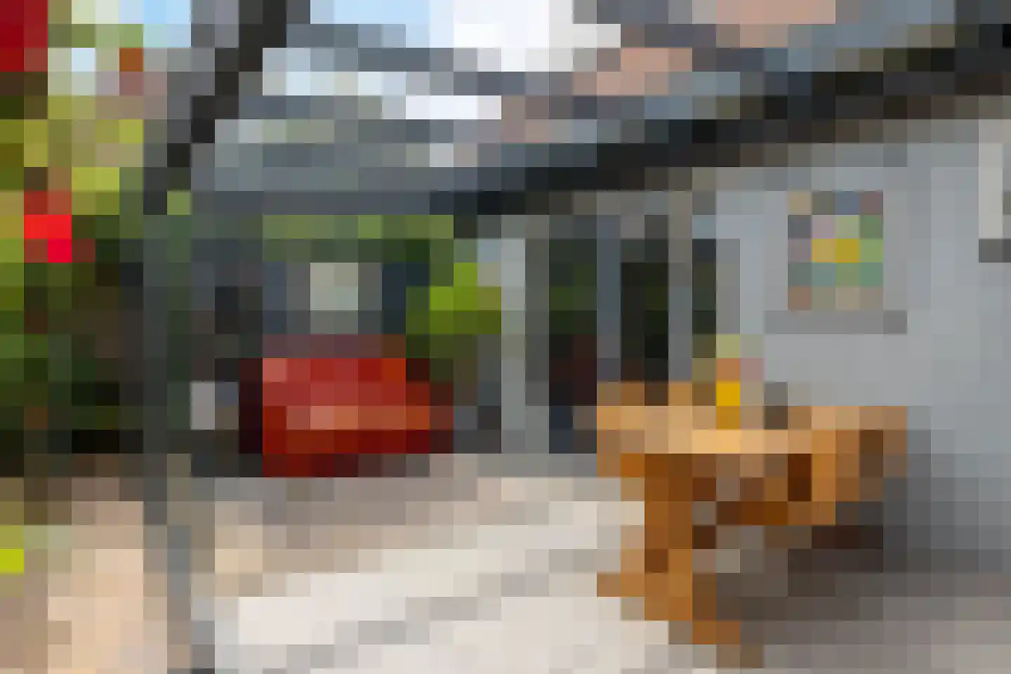 Altoenaestraat 6 St.-Annaparochie thumbnail 46