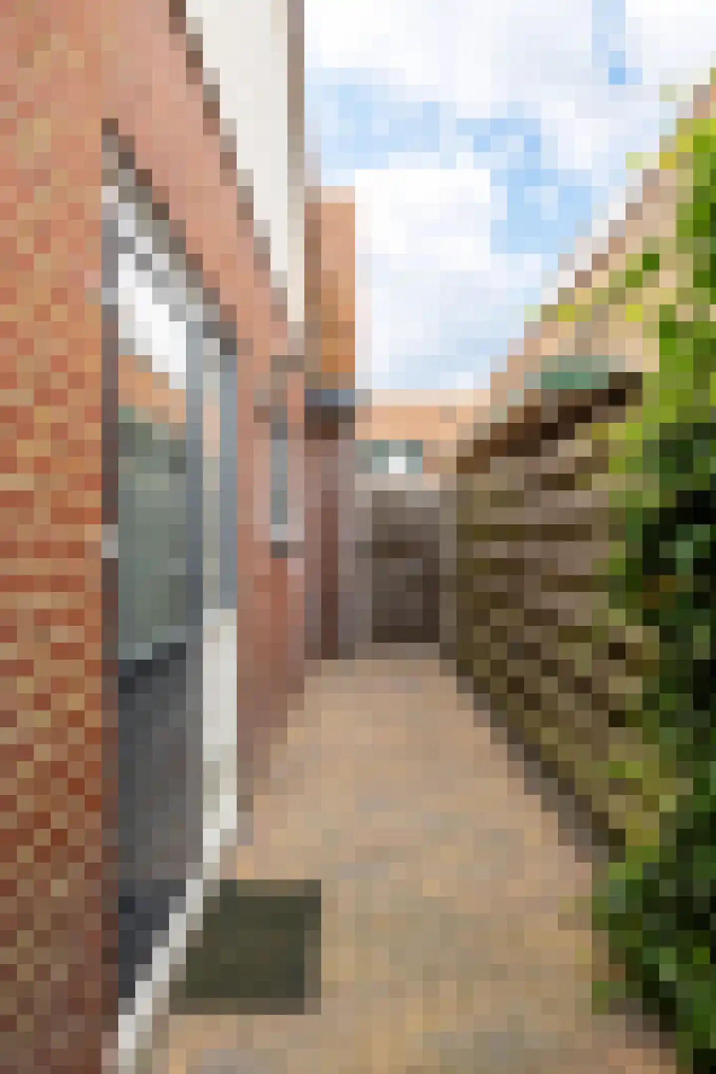 Altoenaestraat 6 St.-Annaparochie thumbnail 48