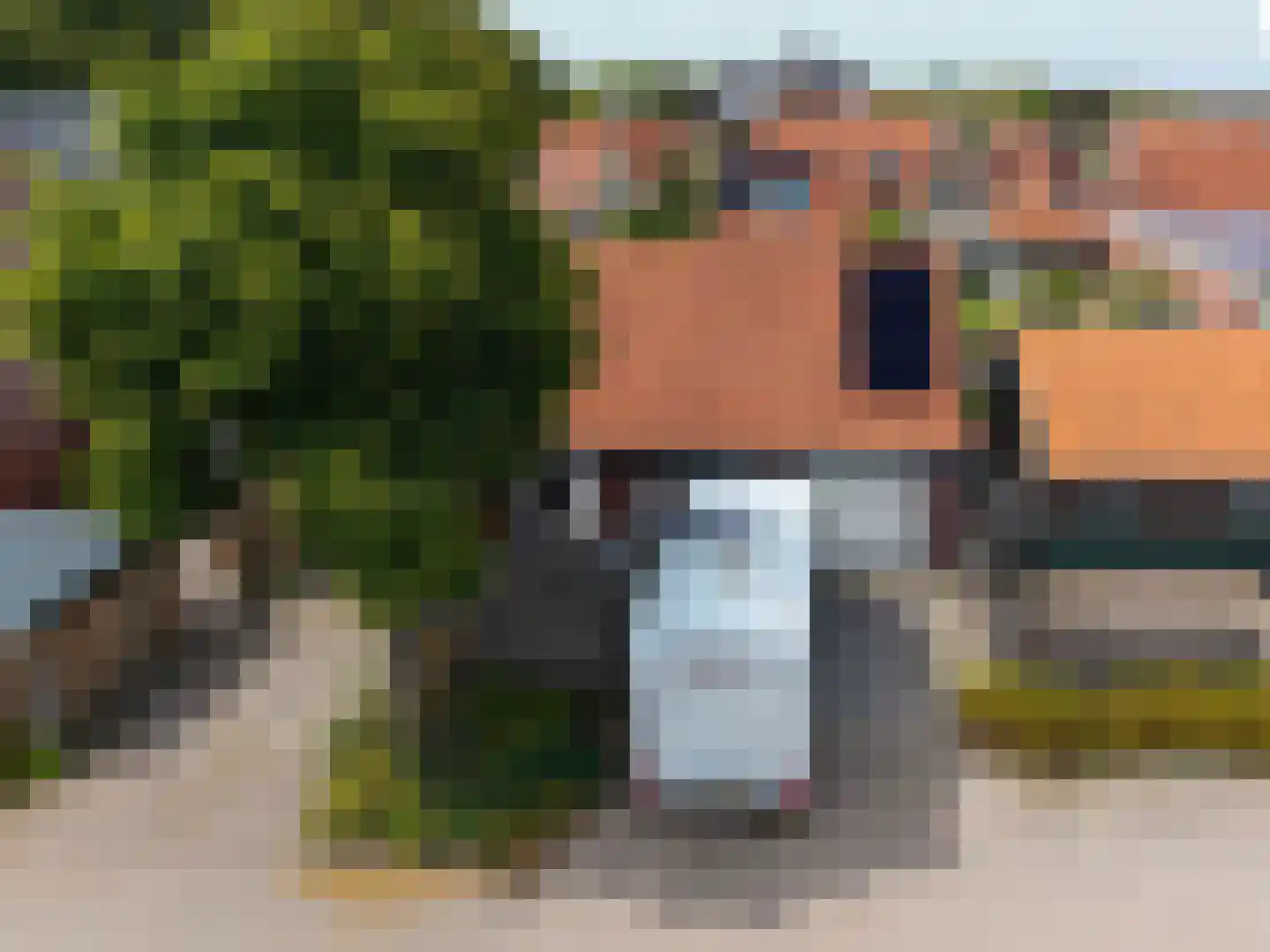 Altoenaestraat 6 St.-Annaparochie thumbnail 5