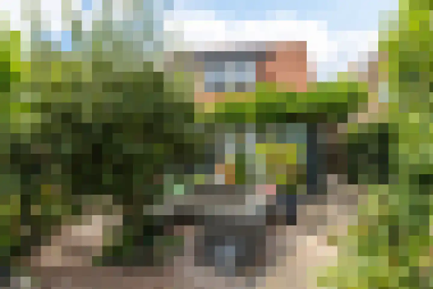 Altoenaestraat 6 St.-Annaparochie thumbnail 50