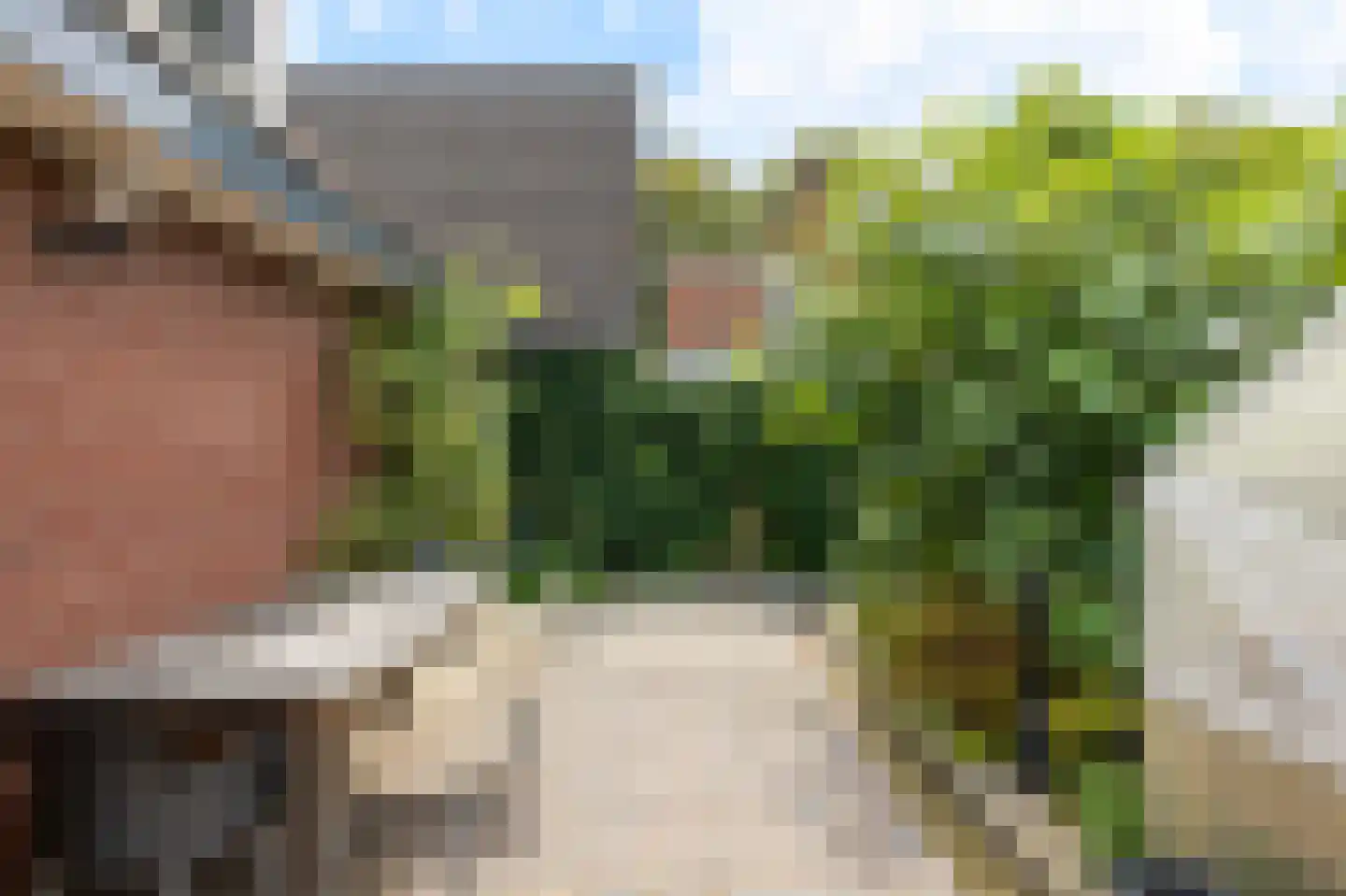 Altoenaestraat 6 St.-Annaparochie thumbnail 53