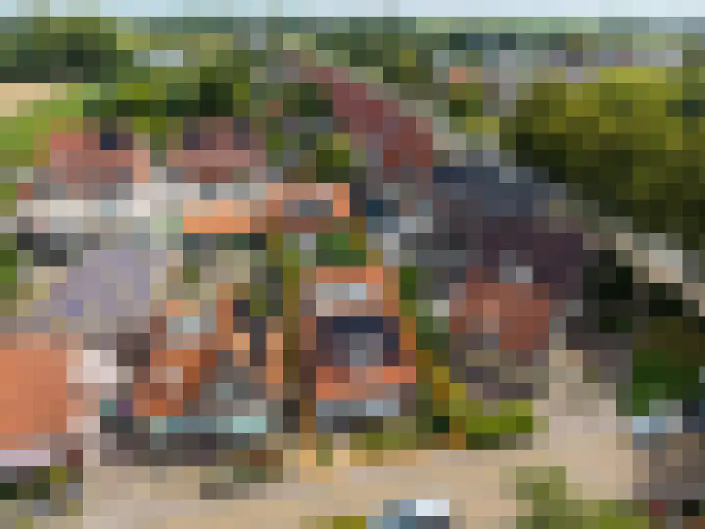 Altoenaestraat 6 St.-Annaparochie thumbnail 6