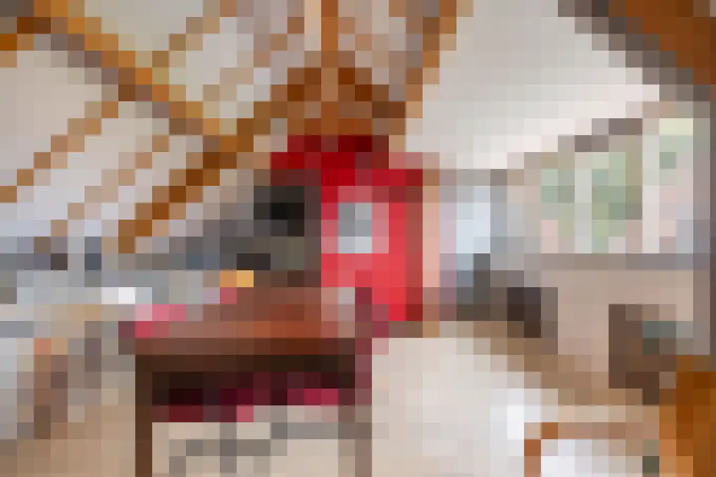 Altoenaestraat 6 St.-Annaparochie thumbnail 61