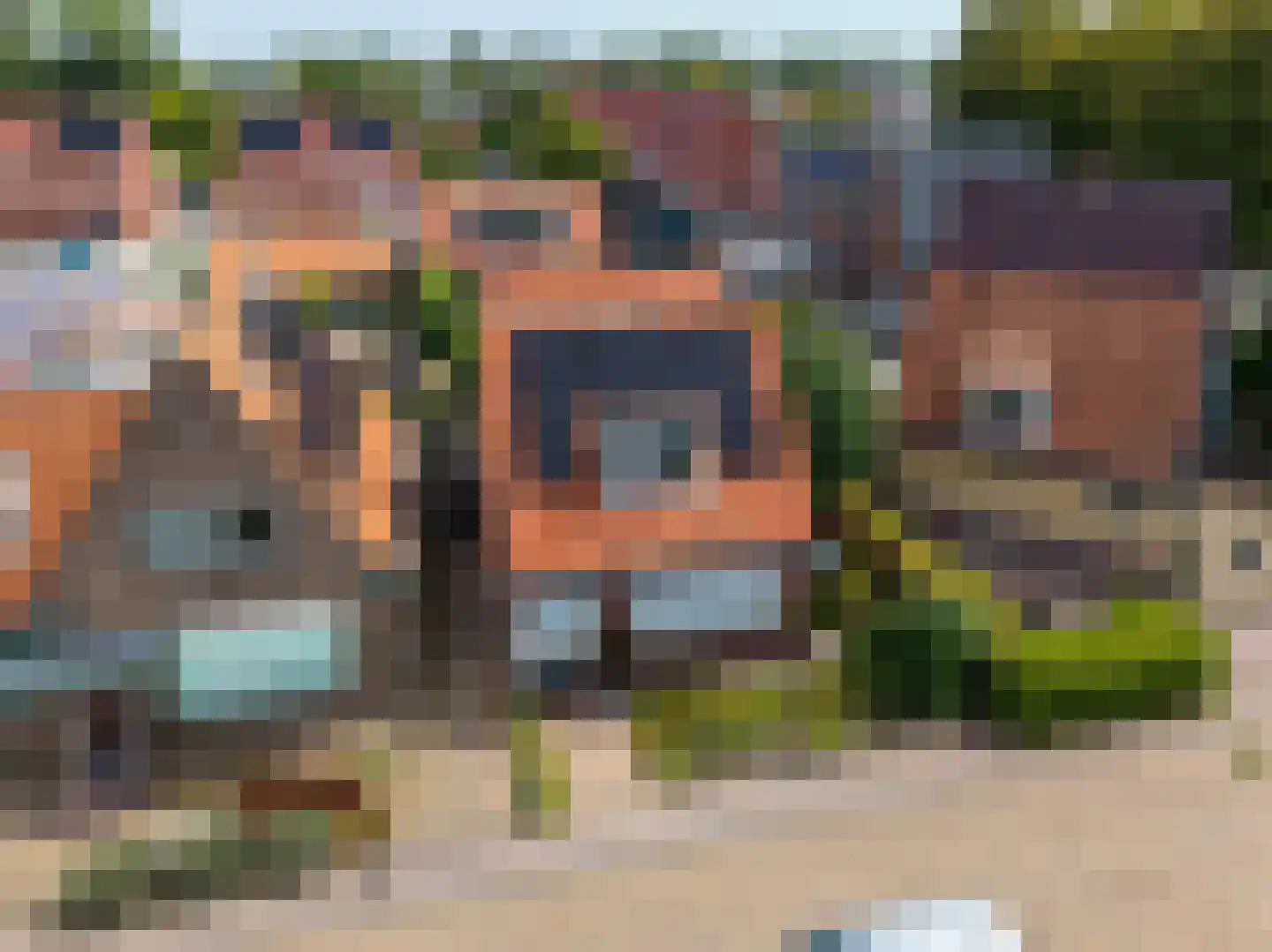 Altoenaestraat 6 St.-Annaparochie thumbnail 64