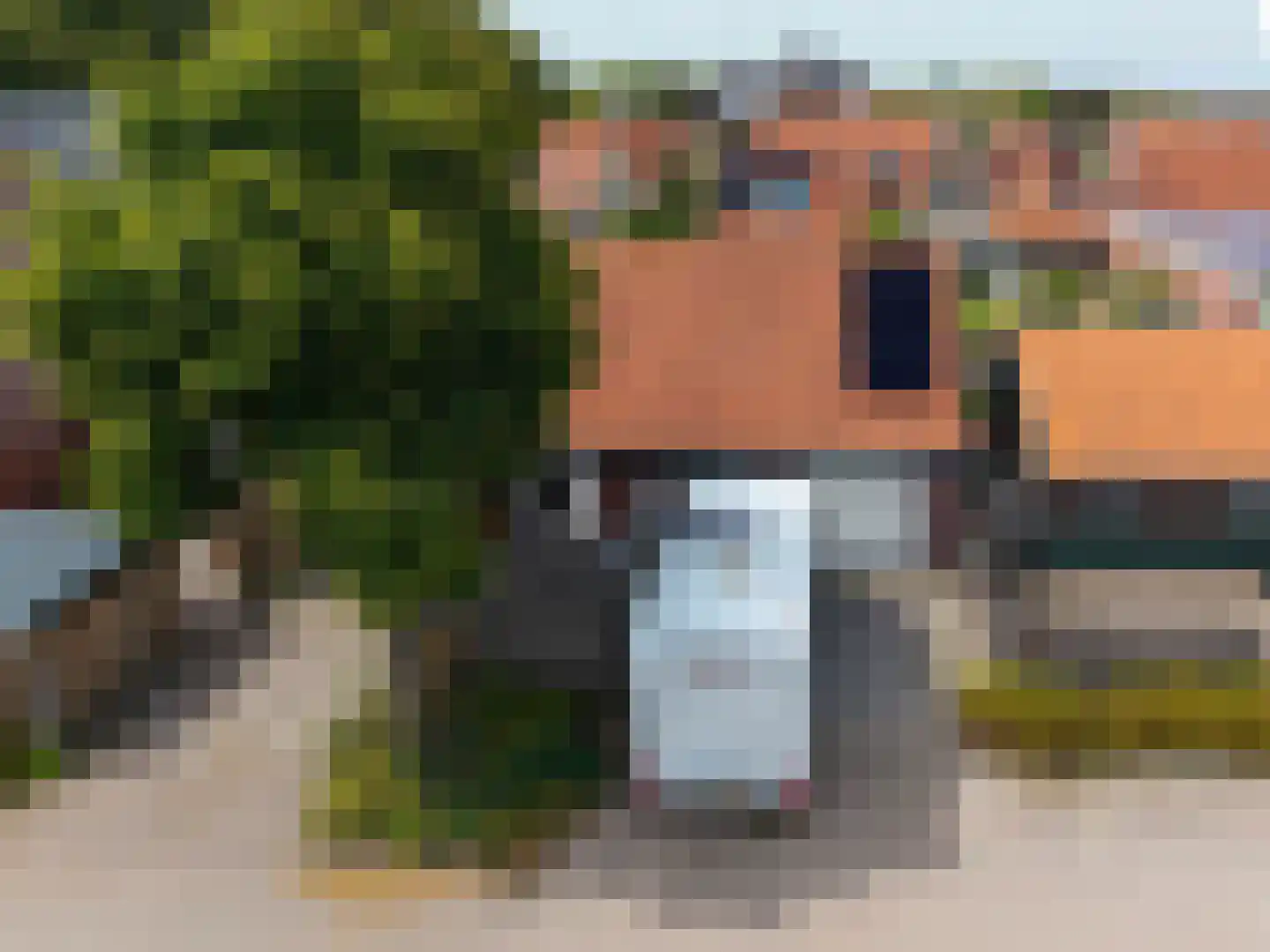 Altoenaestraat 6 St.-Annaparochie thumbnail 67