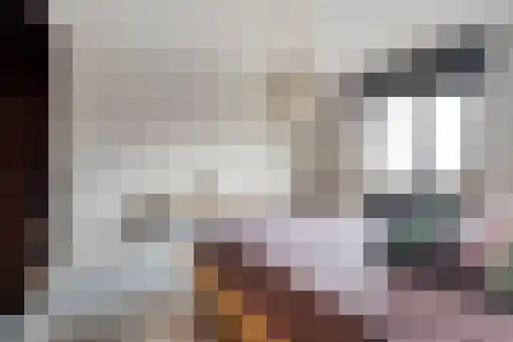 Altstraat 11 Uden thumbnail 12