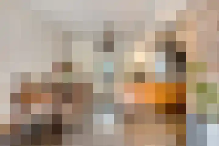 Altstraat 11 Uden thumbnail 7