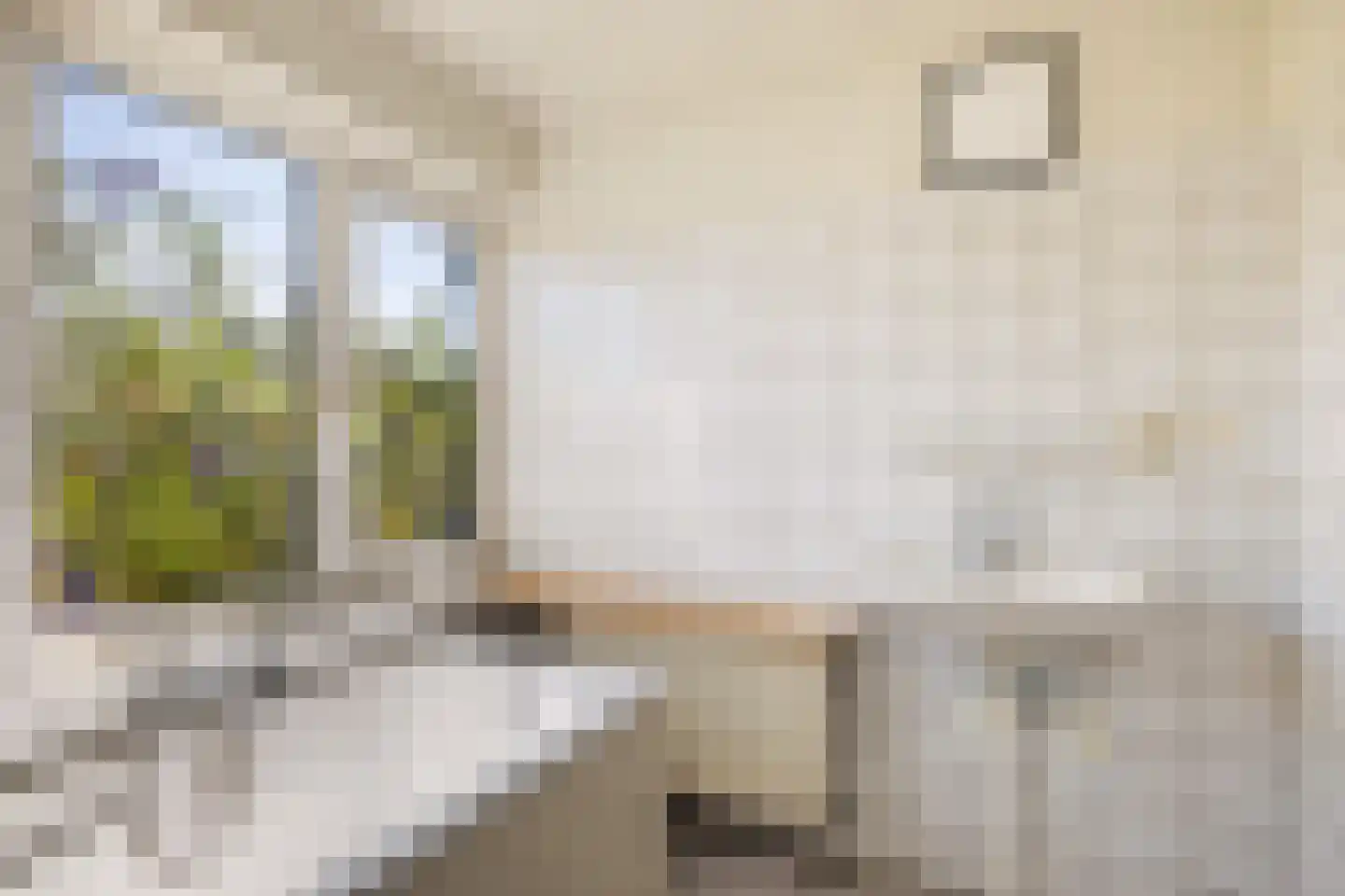 Altstraat 17 Uden thumbnail 21