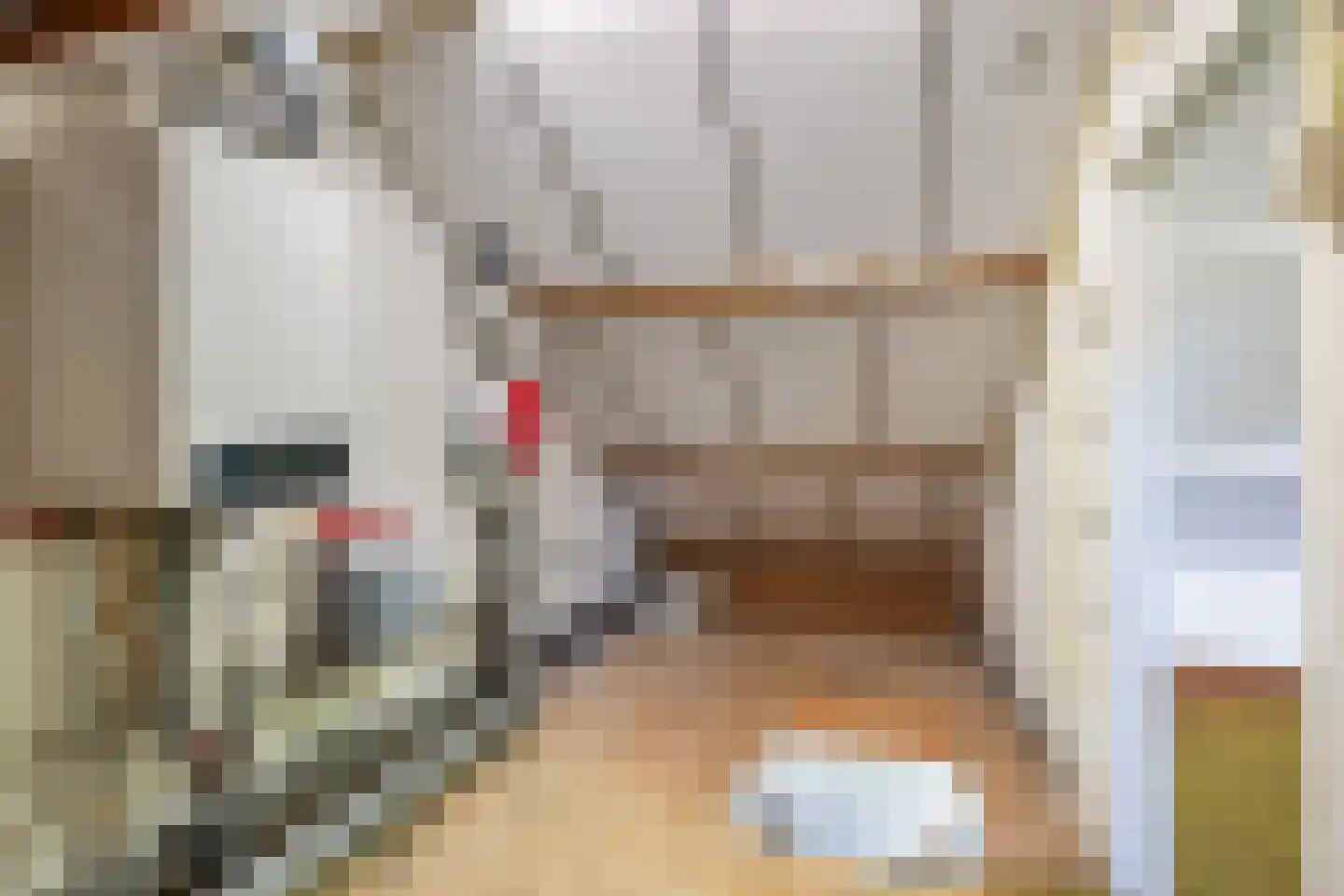 Altstraat 17 Uden thumbnail 24