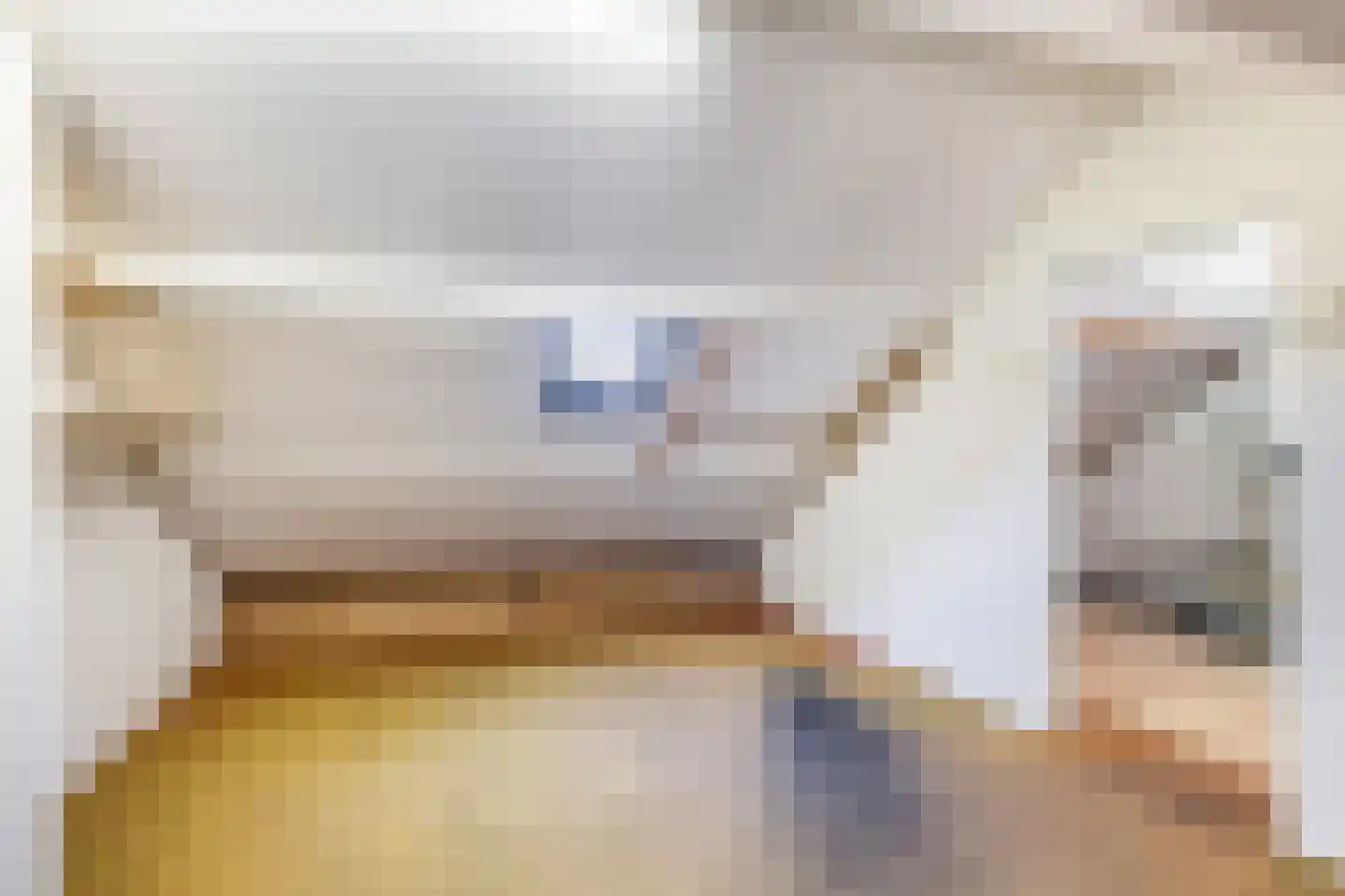 Altstraat 17 Uden thumbnail 26