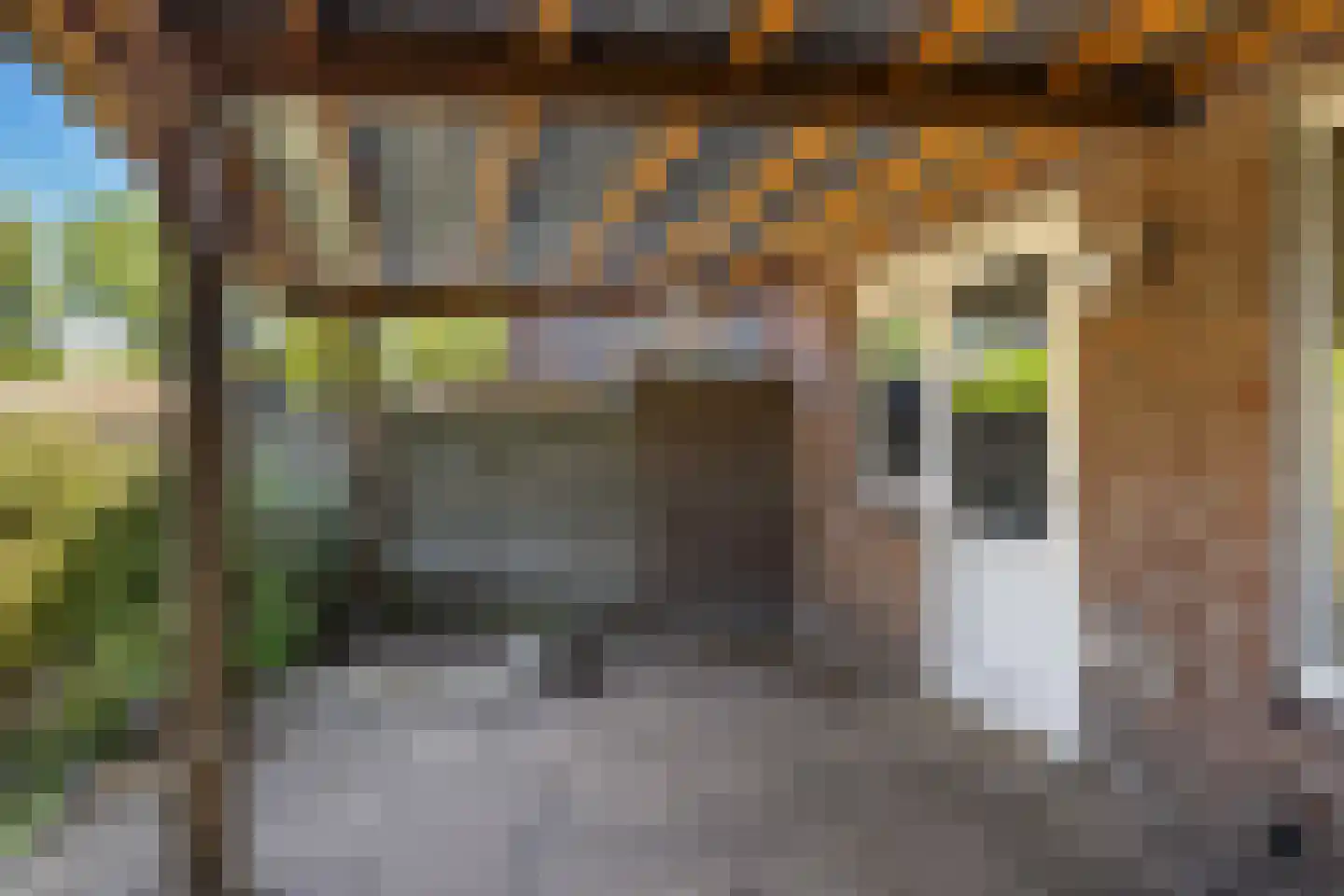 Altstraat 17 Uden thumbnail 27