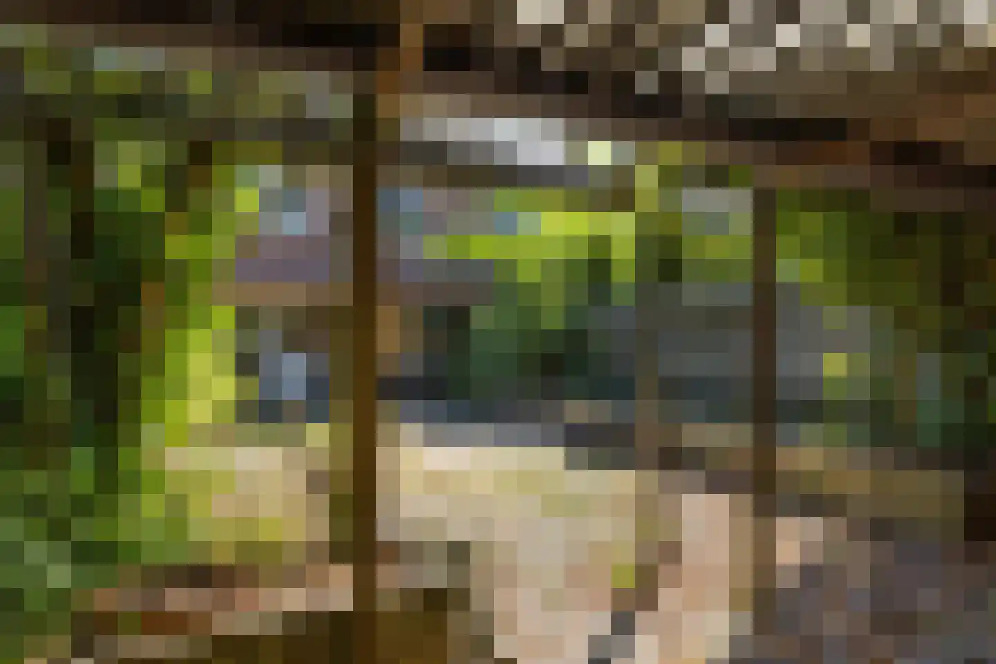 Altstraat 17 Uden thumbnail 30