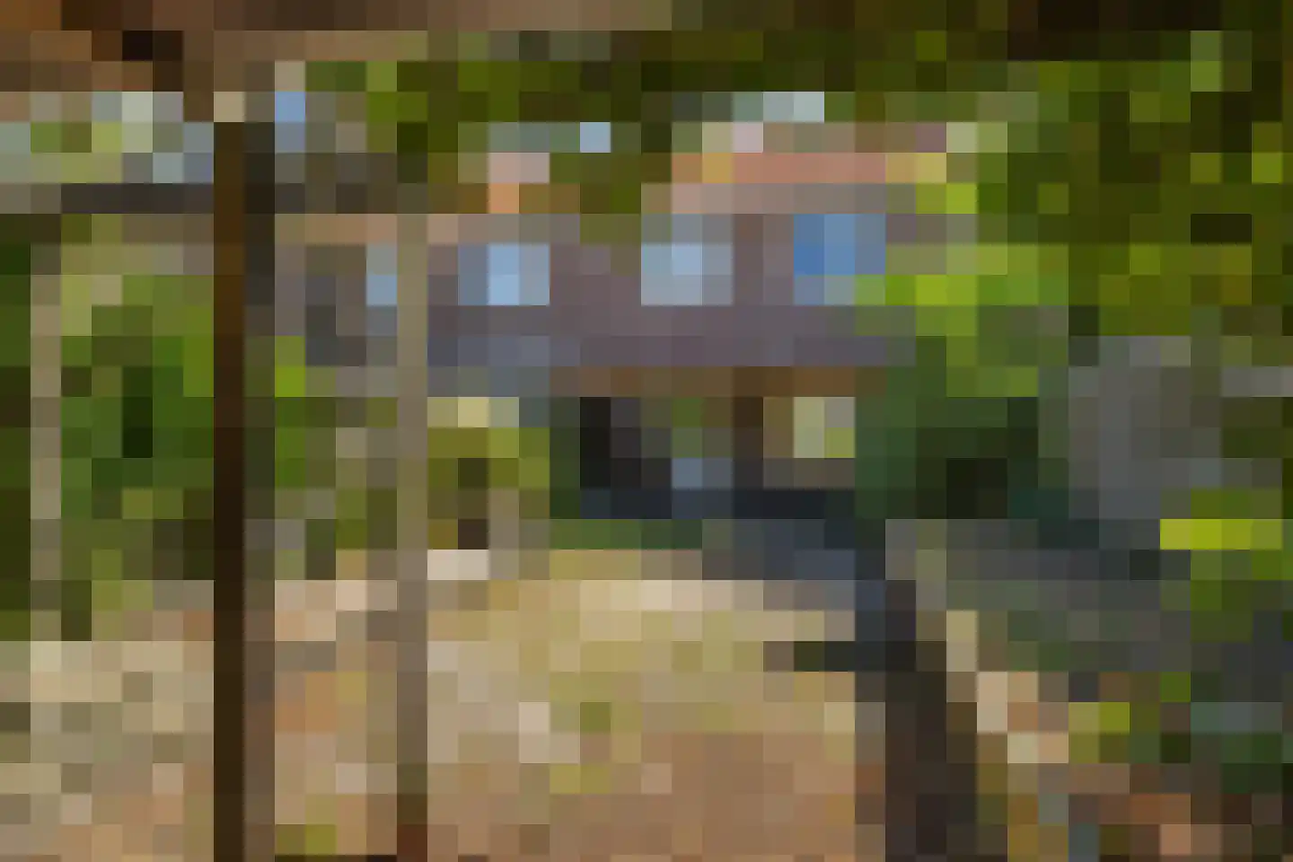 Altstraat 17 Uden thumbnail 31