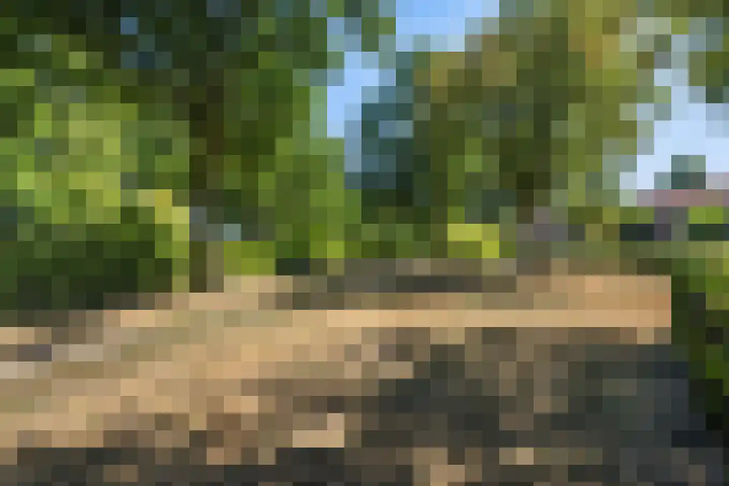 Altstraat 17 Uden thumbnail 38