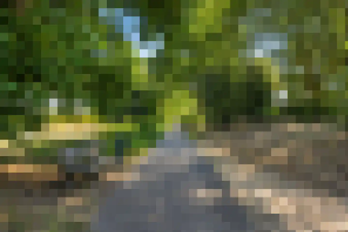 Altstraat 17 Uden thumbnail 39