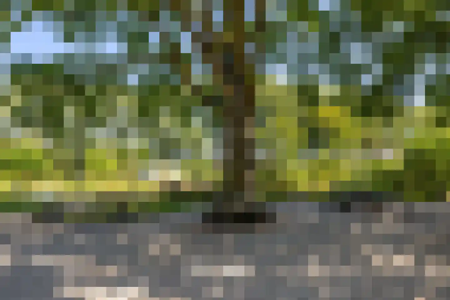 Altstraat 17 Uden thumbnail 40