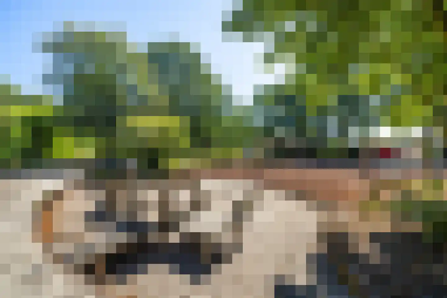 Altstraat 17 Uden thumbnail 41