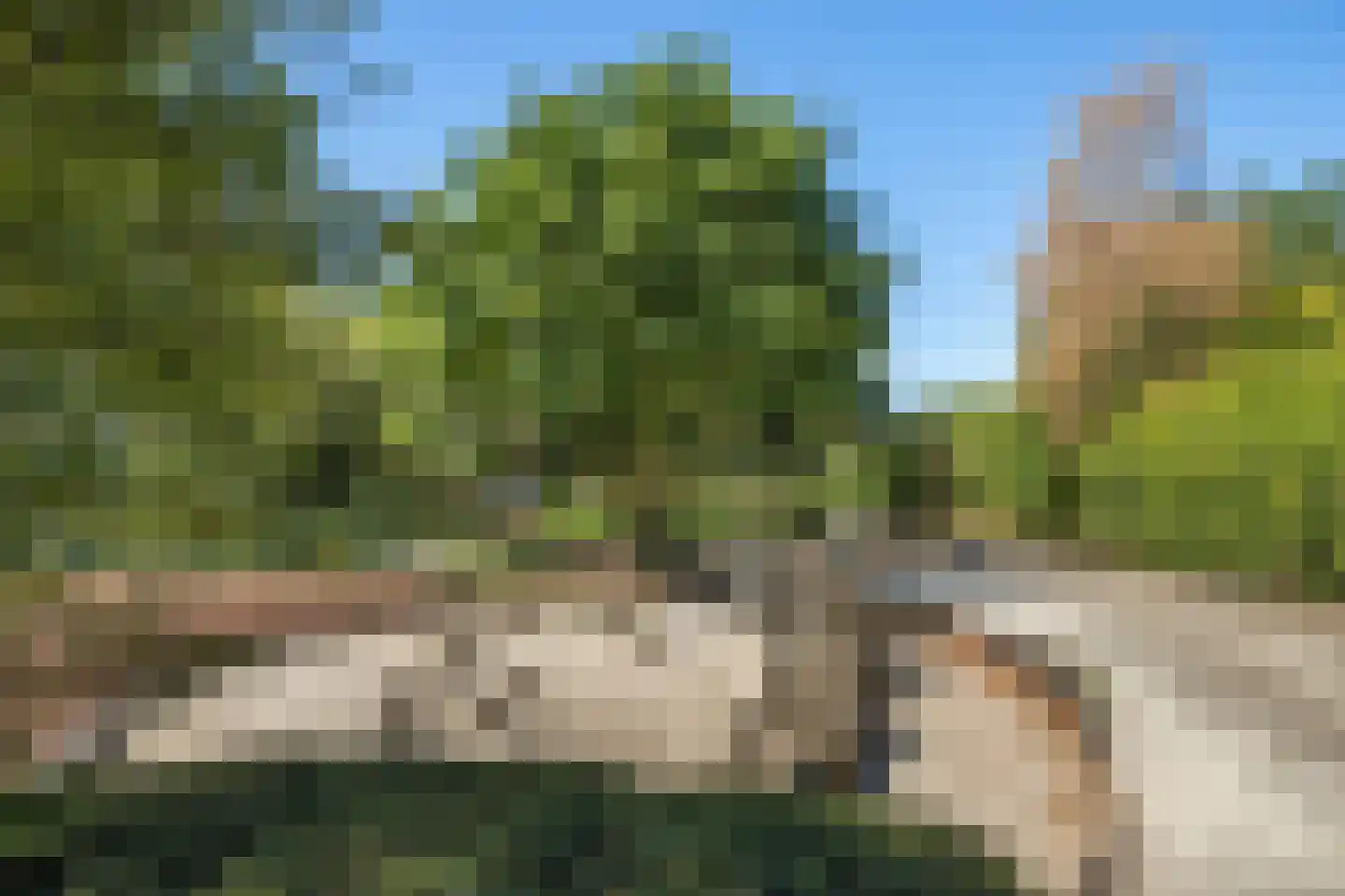 Altstraat 17 Uden thumbnail 42
