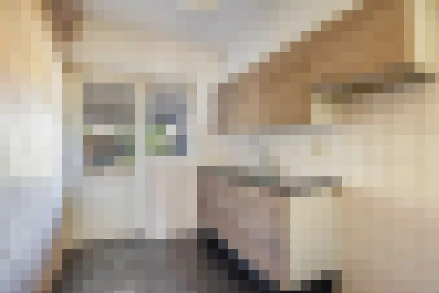 Altstraat 17 Uden thumbnail 9