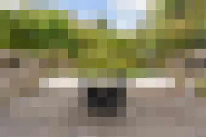 Altweertstraat 2 Arnhem thumbnail 32
