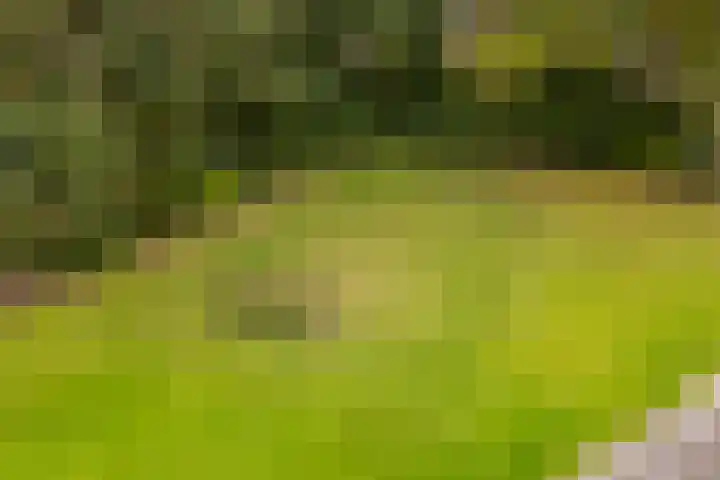 Altweertstraat 2 Arnhem thumbnail 37