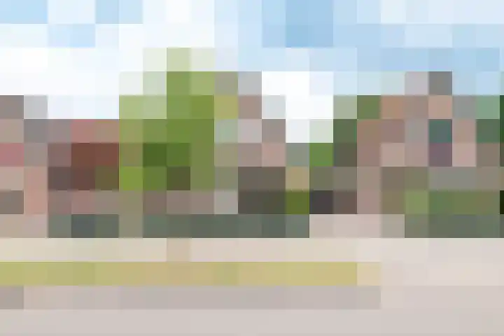 Aluminiumweg 46 Apeldoorn thumbnail 4