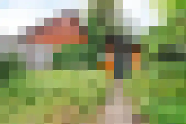 Aluminiumweg 46 Apeldoorn thumbnail 7