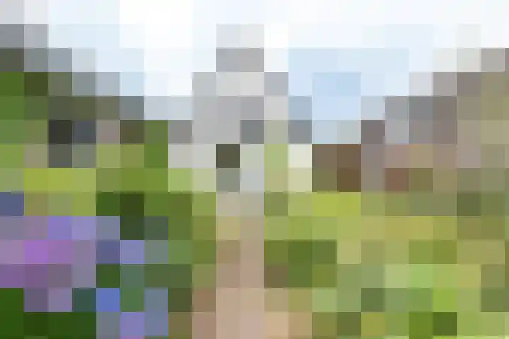 Aluminiumweg 46 Apeldoorn thumbnail 9